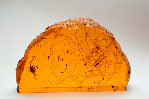 Woolly Mammoth Hair in Amber